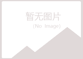 兴山区白易保险有限公司